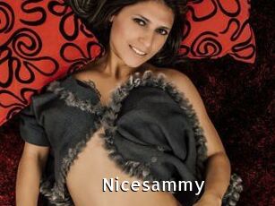 Nicesammy
