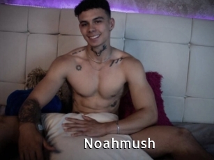 Noahmush