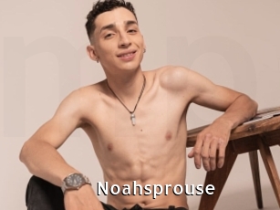 Noahsprouse