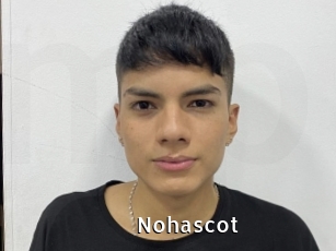 Nohascot