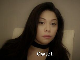 _Owlet_