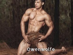 Owenwolfe