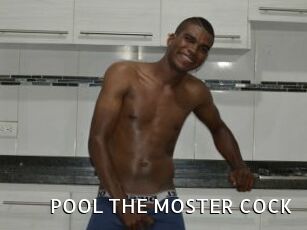 POOL_THE_MOSTER_COCK