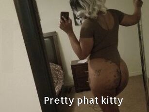 Pretty_phat_kitty
