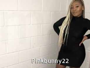 Pinkbunny22