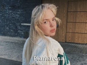 Plantarosa