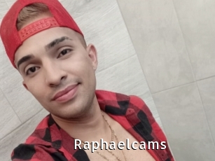 Raphaelcams