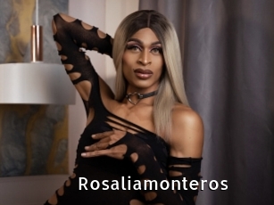 Rosaliamonteros