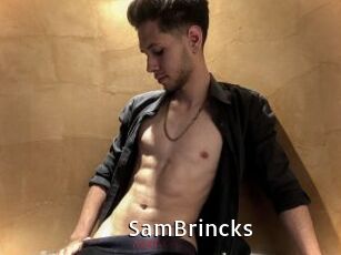 SamBrincks