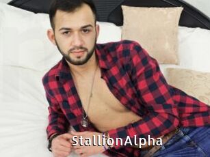 StallionAlpha My Porno Stash