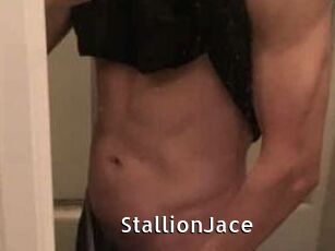 StallionJace
