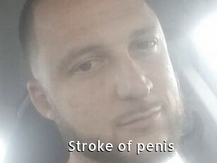 Stroke_of_penis