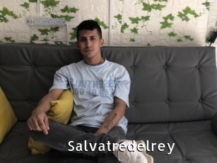 Salvatredelrey