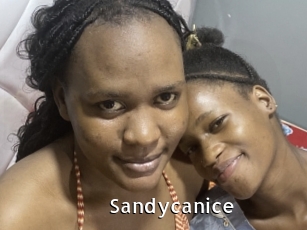 Sandycanice