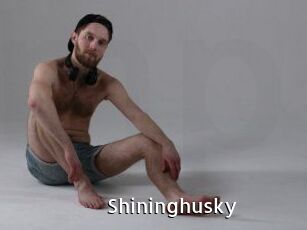 Shininghusky