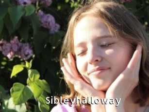 Sibleyhalloway