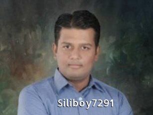Siliboy7291