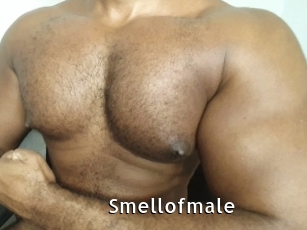 Smellofmale