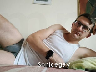 Sonicegay