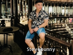 Stevebunny