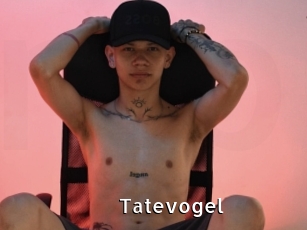 tatevogel My Porno Stash