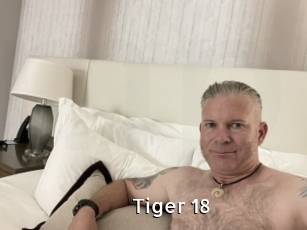 Tiger_18