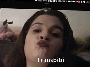 Transbibi