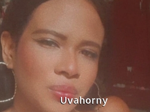 Uvahorny