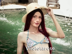 Viioletarose