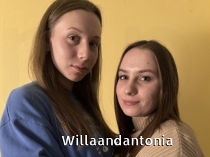 Willaandantonia