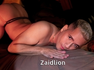 Zaidlion